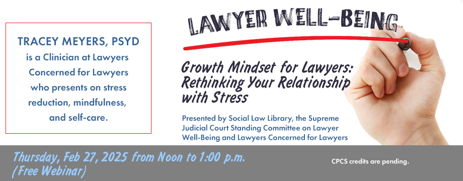 lawyer-well-being-2025-web